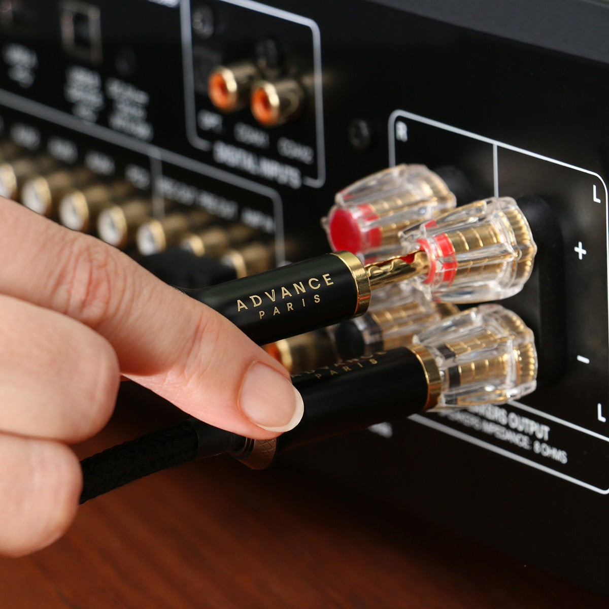 ADVANCE PARIS LINK SPEAKER CABLE