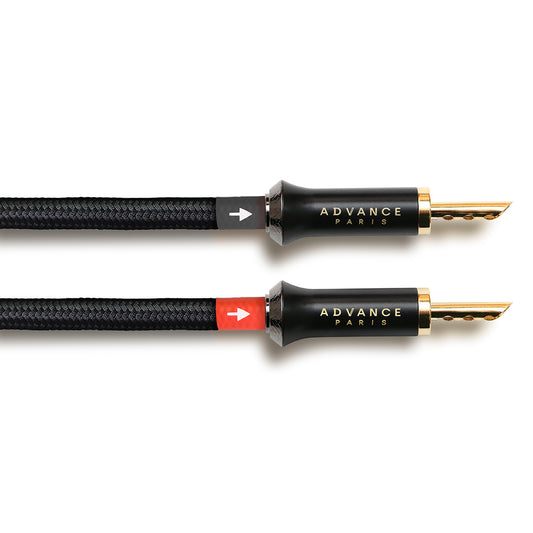 ADVANCE PARIS LINK SPEAKER CABLE