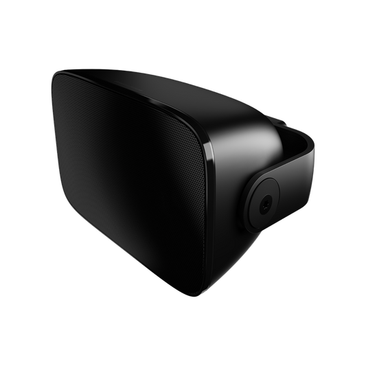 BOWERS & WILKINS AM-1 2-WAY INDDOR/OUTDOOR SPEAKER (PAIR)