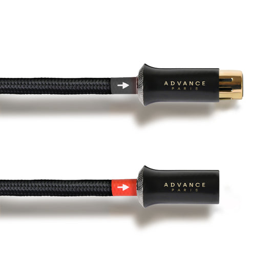 ADVANCE PARIS LINK XLR CABLE
