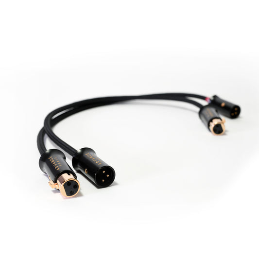 ADVANCE PARIS LINK XLR CABLE