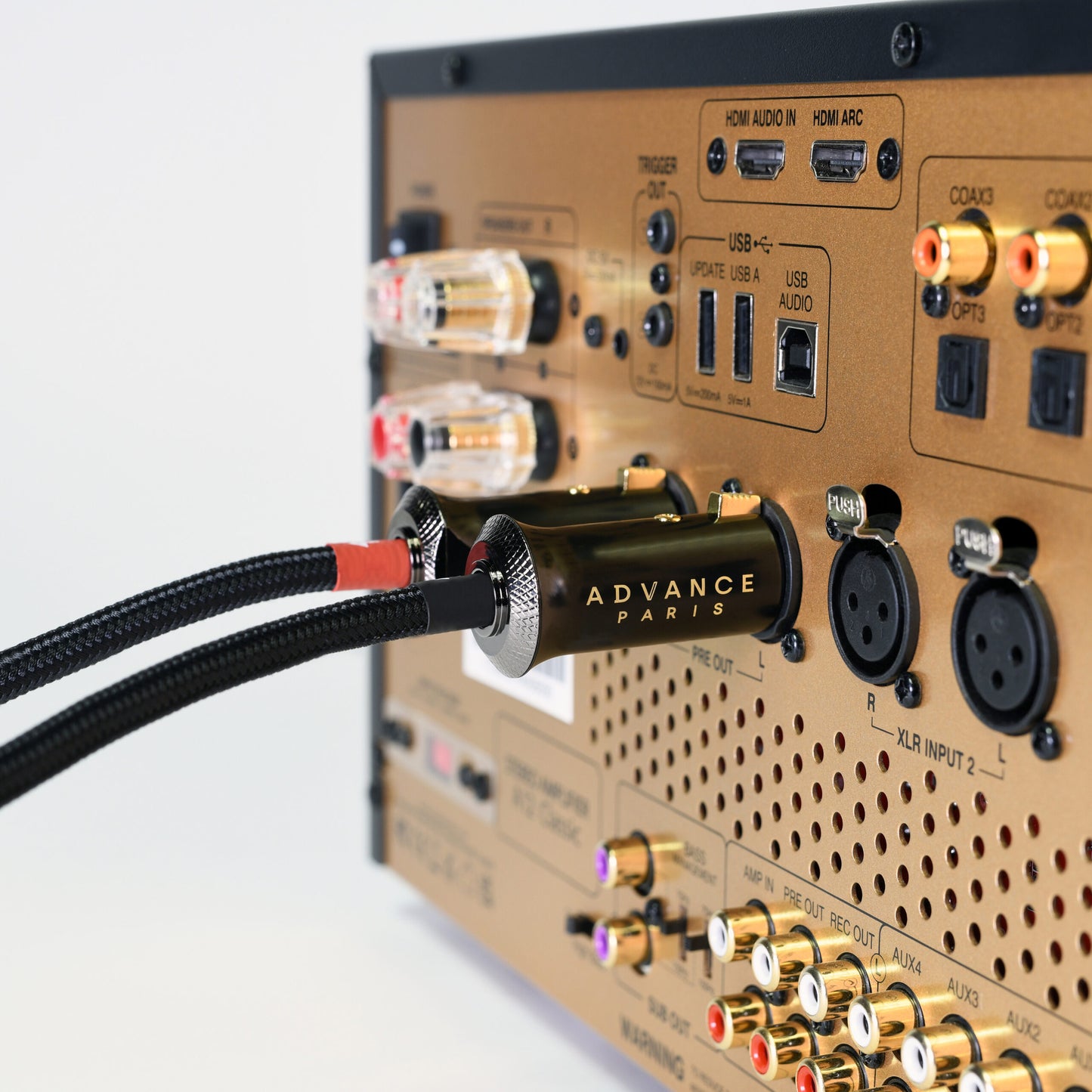 ADVANCE PARIS LINK XLR CABLE