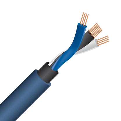 WIREWORLD OASIS 10 AUDIO INTERCONNECT CABLE