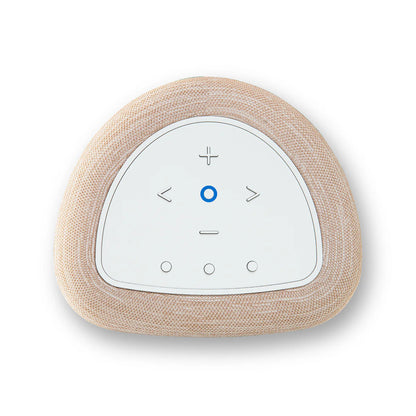 BLUESOUND PULSE FLEX WIRELESS STREAMING SPEAKER