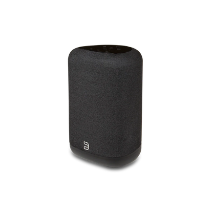 BLUESOUND PULSE FLEX WIRELESS STREAMING SPEAKER