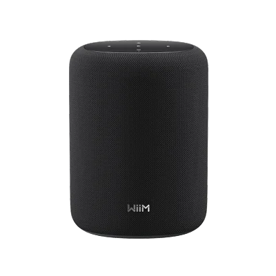 WiiM SOUND LITE