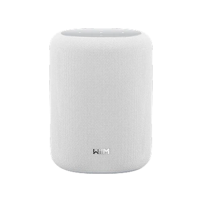 WiiM SOUND LITE